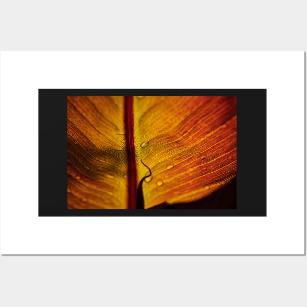 Red Banana Leaf Wall Art by richard49